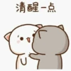 cute mochi cat 11