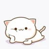 cute mochi cat 12