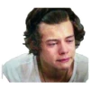 Harry styles curley master 7