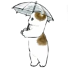 mofu_cats 10