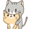 kawaiiii 12