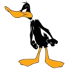 Duffy Duck 5