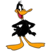 Duffy Duck 9
