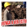 Los Simuladores 14