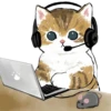 mofu_cats 12