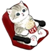 mofu_cats 13