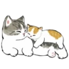 mofu_cats 14