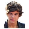 Harry styles curley master 10