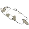 mofu_cats 15
