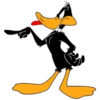 Duffy Duck 11