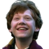 Harry Potter 11