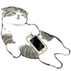mofu_cats 17