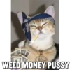Funny Cats 16