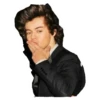 Harry styles curley master 11