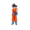 Dragon Ball Super 13