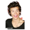 Harry styles curley master 12