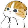 mofu_cats 18