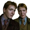 Harry Potter 12