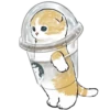 mofu_cats 19