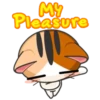 Japanese Kitty 15
