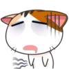Japanese Kitty 16