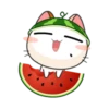 Gogil meaw gt 19