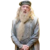 Harry Potter 15