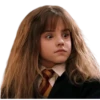 Harry Potter 17