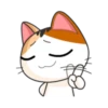 Gogil meaw gt 20