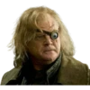 Harry Potter 20