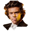 Harry styles curley master 16
