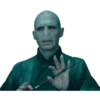 Harry Potter 21