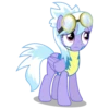 CloudChaser 10