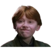 Harry Potter 23