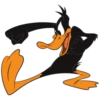Duffy Duck 15