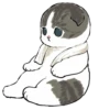 mofu_cats 21