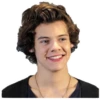 Harry styles curley master 20