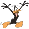 Duffy Duck 16