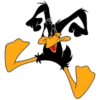 Duffy Duck 18