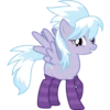CloudChaser 14