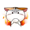 Japanese Kitty 22