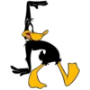 Duffy Duck 19