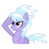 CloudChaser 15