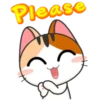 Japanese Kitty 23
