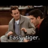 FRIENDS Stickers 25