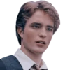Harry Potter 25