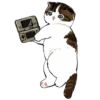 mofu_cats 22