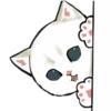 mofu_cats 23