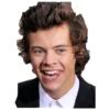 Harry styles curley master 22