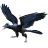 Dinosaur 24